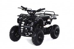 Электро квадроцикл MOTAX ATV Х-16 1000W black