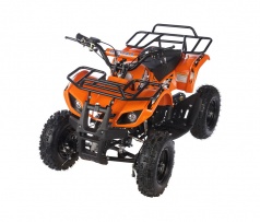 Электро квадроцикл MOTAX ATV Х-16 1000W orange