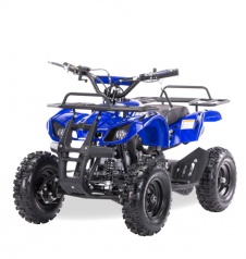 Электро квадроцикл MOTAX ATV Х-16 1000W blue