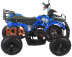 Электро квадроцикл MOTAX ATV Х-16 1000W blue
