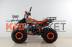 Квадроцикл бензиновый MOTAX ATV T-Rex LUX 125 cc orange