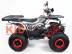 Квадроцикл бензиновый MOTAX ATV Grizlik NEW LUX125 cc red